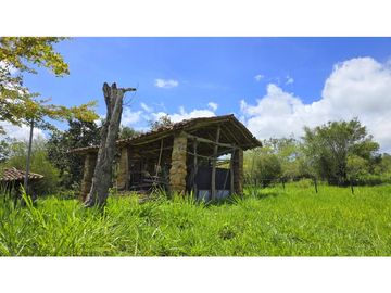 Vendo Parcela La Ceiba Vda. Llano Barichara