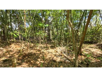 Vendo Parcela La Ceiba Vda. Llano Barichara