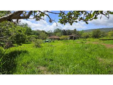 Vendo Parcela La Ceiba Vda. Llano Barichara