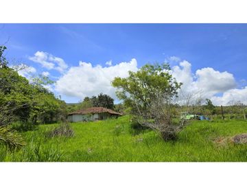 Vendo Parcela La Ceiba Vda. Llano Barichara