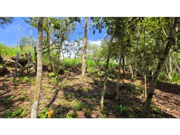 Vendo Parcela La Ceiba Vda. Llano Barichara
