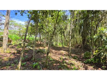 Vendo Parcela La Ceiba Vda. Llano Barichara