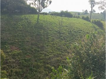SE VENDE FINCA CON LAGOS EN ARABIA AREA