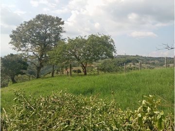 SE VENDE FINCA CON LAGOS EN ARABIA AREA