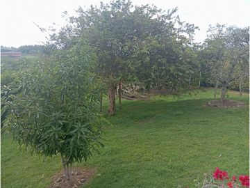 SE VENDE FINCA CON LAGOS EN ARABIA AREA
