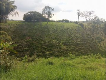 SE VENDE FINCA CON LAGOS EN ARABIA AREA