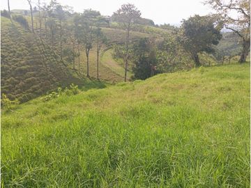 SE VENDE FINCA CON LAGOS EN ARABIA AREA