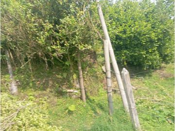 SE VENDE FINCA CON LAGOS EN ARABIA AREA