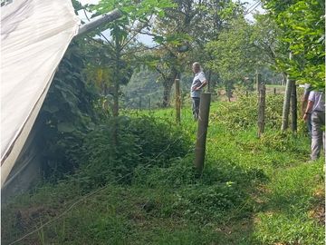 SE VENDE FINCA CON LAGOS EN ARABIA AREA
