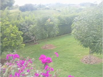 SE VENDE FINCA CON LAGOS EN ARABIA AREA