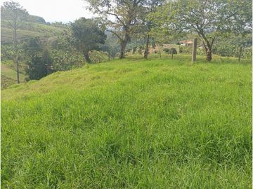 SE VENDE FINCA CON LAGOS EN ARABIA AREA