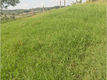 SE VENDE FINCA CON LAGOS EN ARABIA AREA