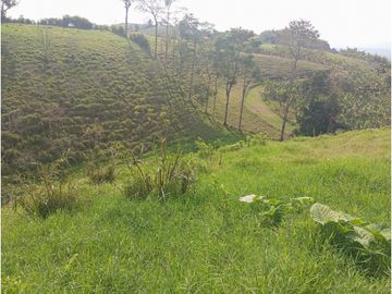 SE VENDE FINCA CON LAGOS EN ARABIA AREA