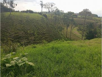 SE VENDE FINCA CON LAGOS EN ARABIA AREA