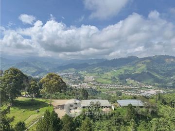 Apartamento en arriendo, barrio Palermo, Manizales