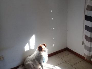 Avellaneda 162 - Unico depto en planta baja con patio