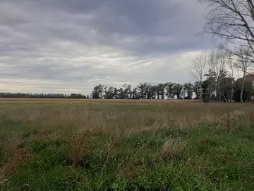 Venta campo 30 HectÃ¡reas a 10 min del centro de Miramar.
