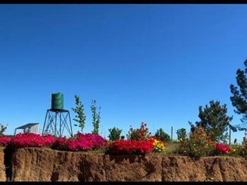 Casa en Venta en Sector Huacalemu s/n , Parcela entre Juanes, Portezuelo, Región de Ñuble