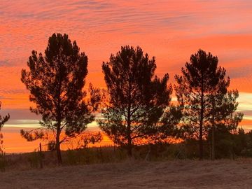 Parcela en Venta en Sector Huacalemu s/n , Parcela entre Juanes, Portezuelo, Región de Ñuble