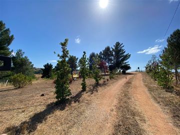 Parcela en Venta en Sector Huacalemu s/n , Parcela entre Juanes, Portezuelo, Región de Ñuble