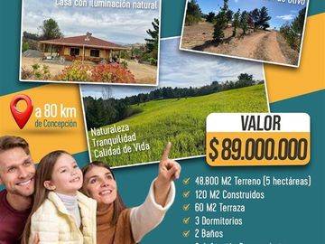 Parcela en Venta en Sector Huacalemu s/n , Parcela entre Juanes, Portezuelo, Región de Ñuble