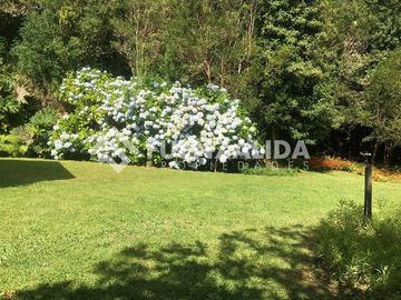 Casa en Venta en riñihue