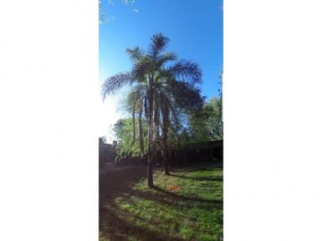 CASA A REMODELAR SOBRE 3 LOTES INDEPENDIENTES, SON 1.200 M2, CADA LOTE TIENE 400M2