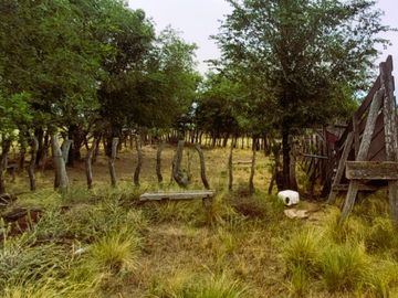 EN VENTA CAMPO 454 - DPTO. TOAY LA PAMPA