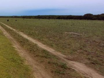 EN VENTA CAMPO 454 - DPTO. TOAY LA PAMPA