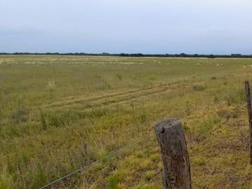 EN VENTA CAMPO 454 - DPTO. TOAY LA PAMPA