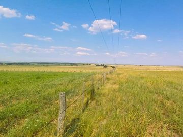 EN VENTA CAMPO 454 - DPTO. TOAY LA PAMPA