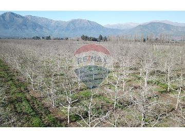 ¡Venta de Parcelas en San Isidro de Paine!