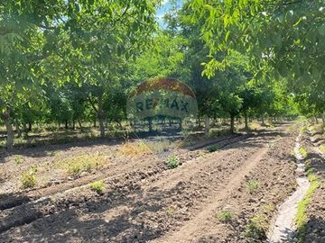 ¡Venta de Parcelas en San Isidro de Paine!