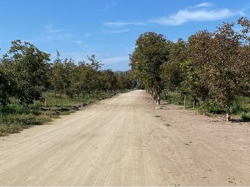¡Venta de Parcelas en San Isidro de Paine!