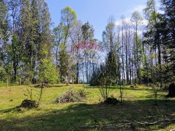 VENTA DE PARCELA EN FOLILCO, REGION DE  LOS LAGOS