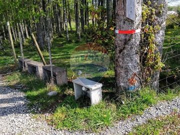VENTA DE PARCELA EN FOLILCO, REGION DE  LOS LAGOS