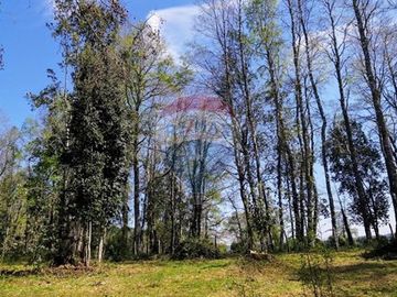 VENTA DE PARCELA EN FOLILCO, REGION DE  LOS LAGOS