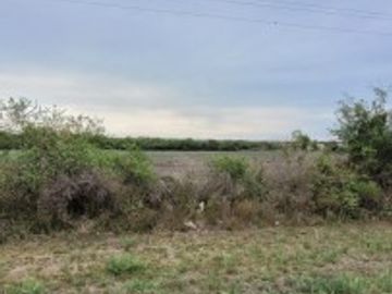 VENTA de CAMPO - RUTA A09, COLONIA NUEVA
