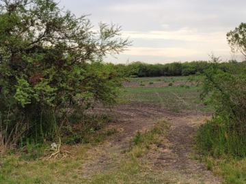 VENTA de CAMPO - RUTA A09, COLONIA NUEVA