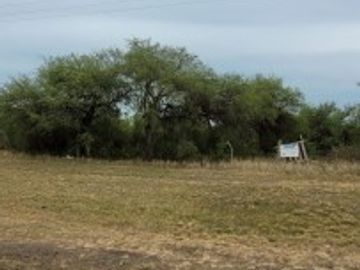 VENTA de CAMPO - RUTA A09, COLONIA NUEVA