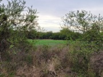 VENTA de CAMPO - RUTA A09, COLONIA NUEVA
