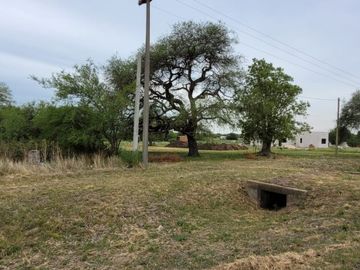 VENTA de CAMPO - RUTA A09, COLONIA NUEVA