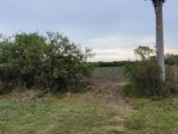 VENTA de CAMPO - RUTA A09, COLONIA NUEVA
