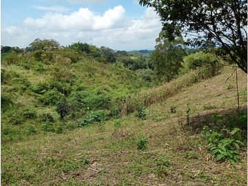 Venta Finca Filandia Quindio - Colombia  COD: 8975606