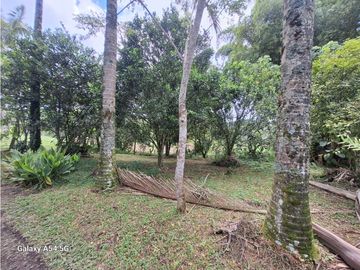 Venta Finca Filandia Quindio - Colombia  COD: 8975606