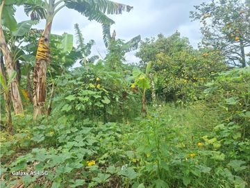 Venta Finca Filandia Quindio - Colombia  COD: 8975606