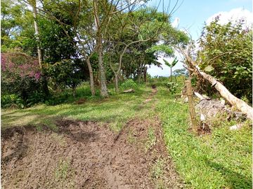 Venta Finca Filandia Quindio - Colombia  COD: 8975606