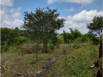 Venta Finca Filandia Quindio - Colombia  COD: 8975606