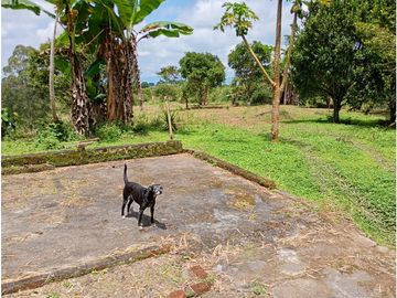 Venta Finca Filandia Quindio - Colombia  COD: 8975606
