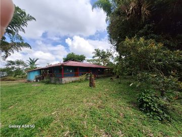 Venta Finca Filandia Quindio - Colombia  COD: 8975606